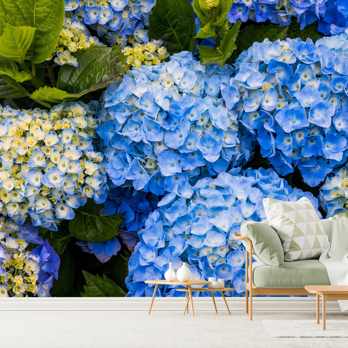 Fototapete BLAUE HORTENSIE BLUMEN GARTEN NATUR FÜR WOHNZIMMER – Pixers®