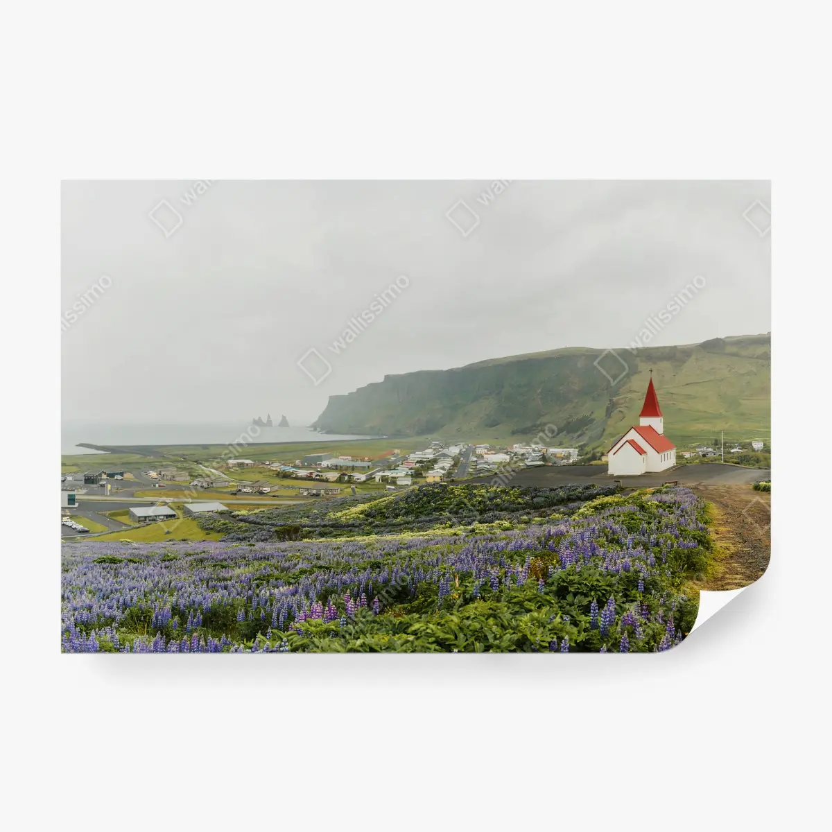 Fototapete ISLAND KIRCHE LUPINEN KÜSTE KLIPPEN FÜR WOHNZIMMER – Pixers®