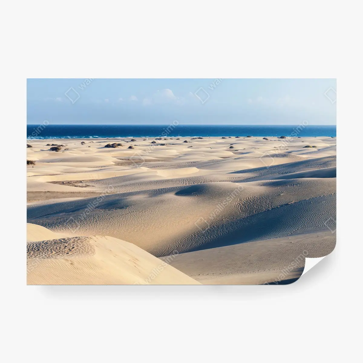 Fototapete DÜNEN STRAND OZEAN SAND SONNE FÜR WOHNZIMMER – Pixers®