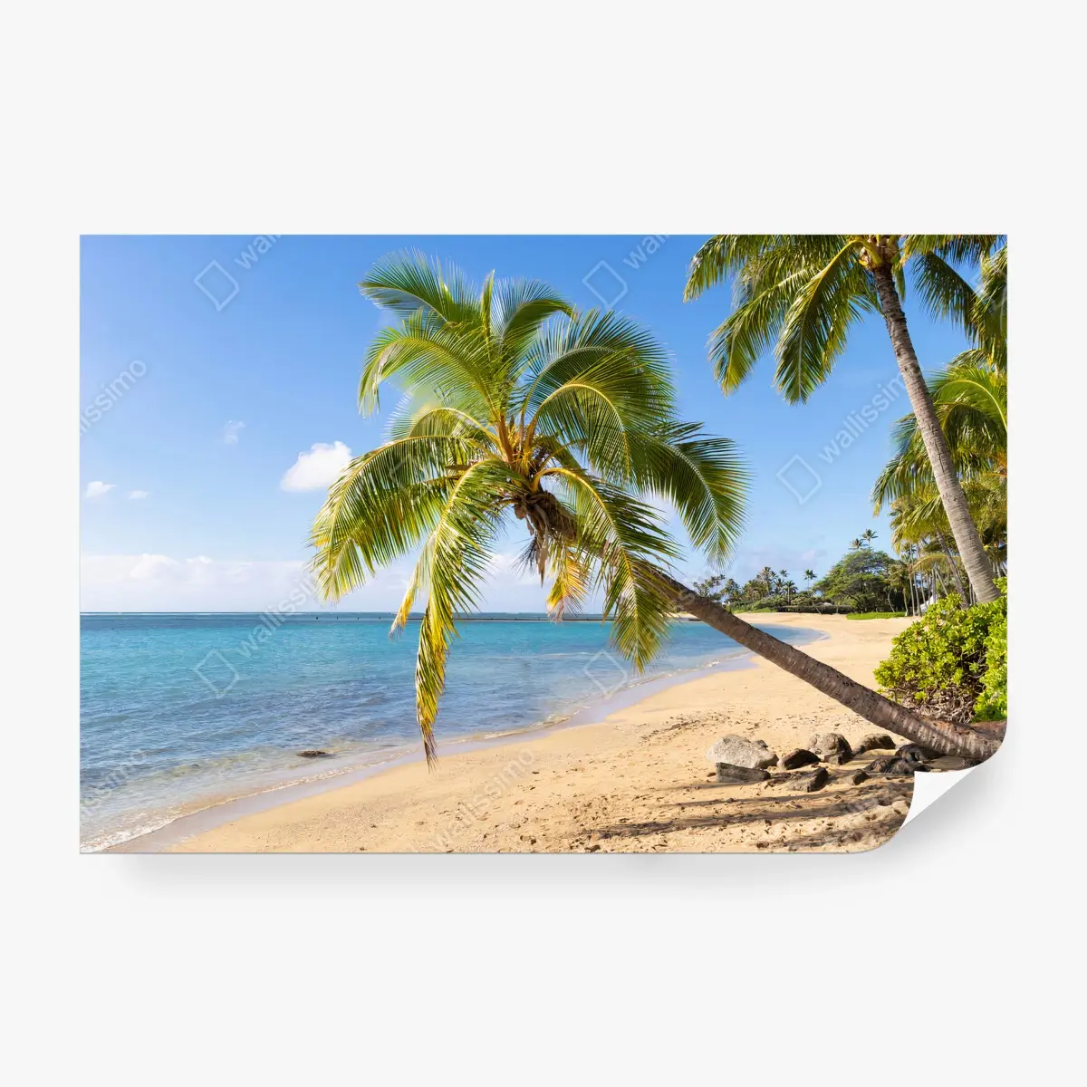 Fototapete STRAND PALME TROPISCH OZEAN SAND FÜR WOHNZIMMER – Pixers®