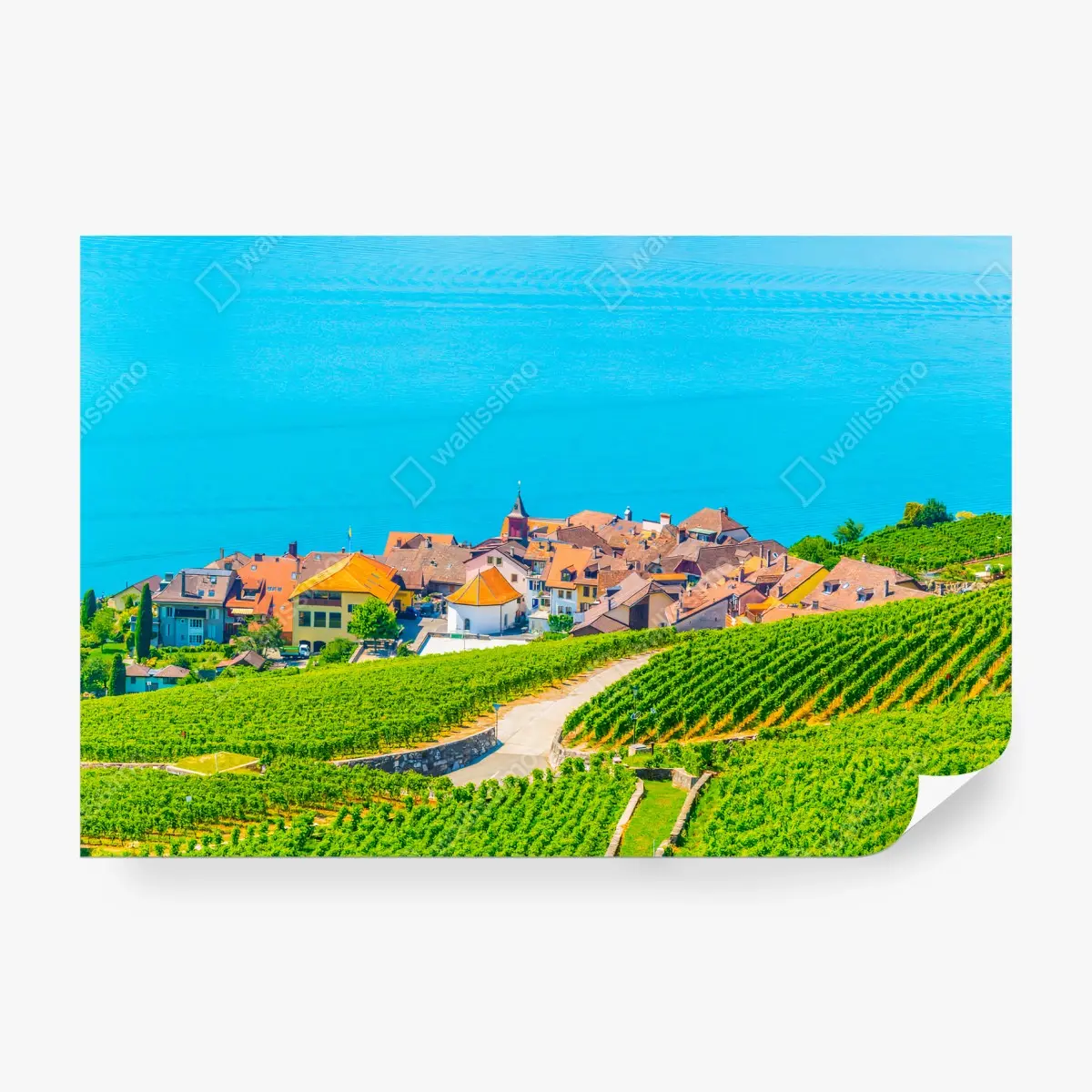 Fototapete WEINBERG SEE DORF LANDSCHAFT GRÜN FÜR WOHNZIMMER – Pixers®