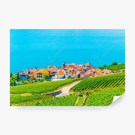 Fototapete WEINBERG SEE DORF LANDSCHAFT GRÜN FÜR WOHNZIMMER – Pixers®