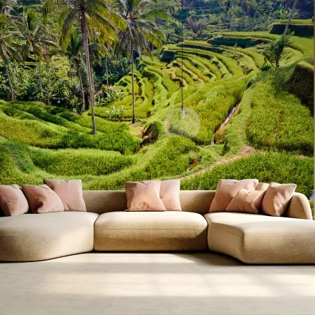 Fototapete BALI REIS TERRASSEN TEGALLALANG GRÜN FÜR WOHNZIMMER – Pixers®