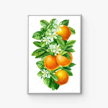 Poster zitrusblüten und reife orangen – Pixers®