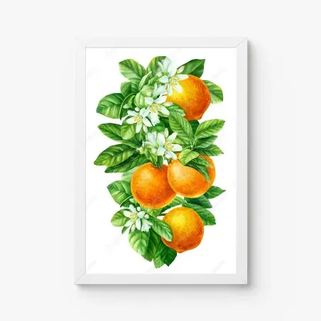 Poster zitrusblüten und reife orangen – Pixers®