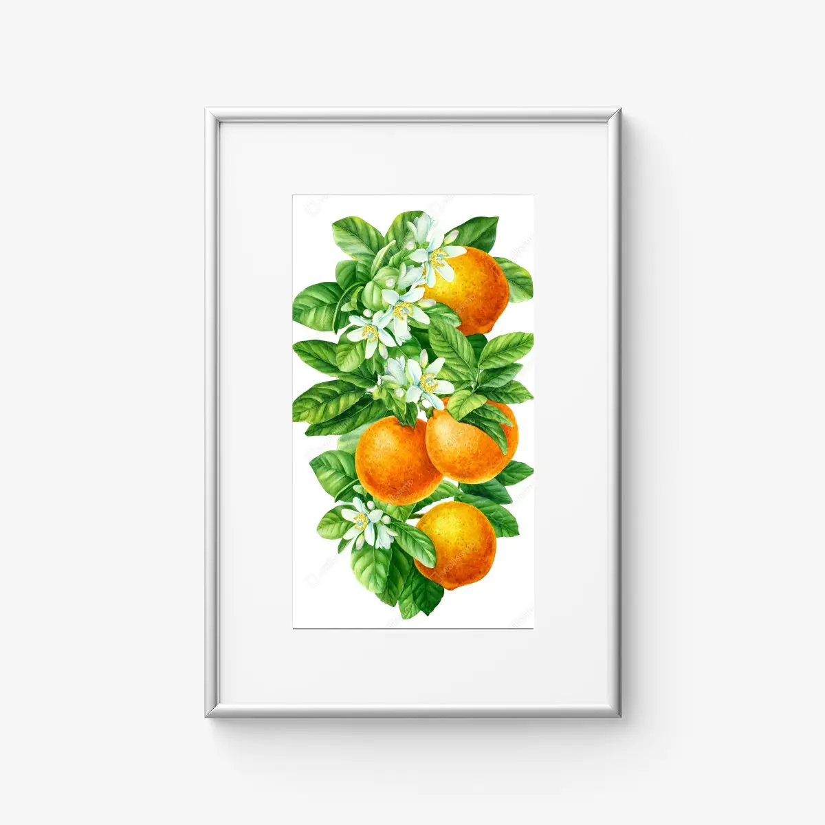 Poster zitrusblüten und reife orangen – Pixers®