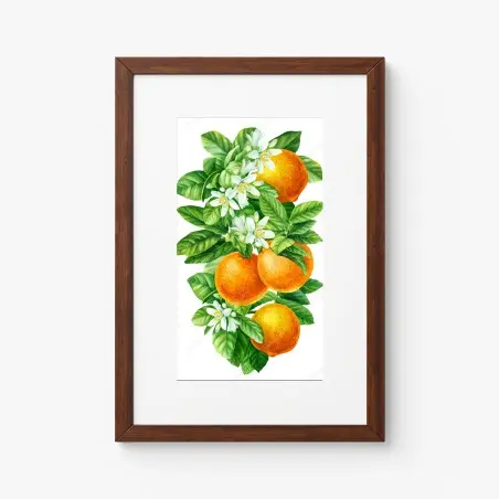 Poster zitrusblüten und reife orangen – Pixers®