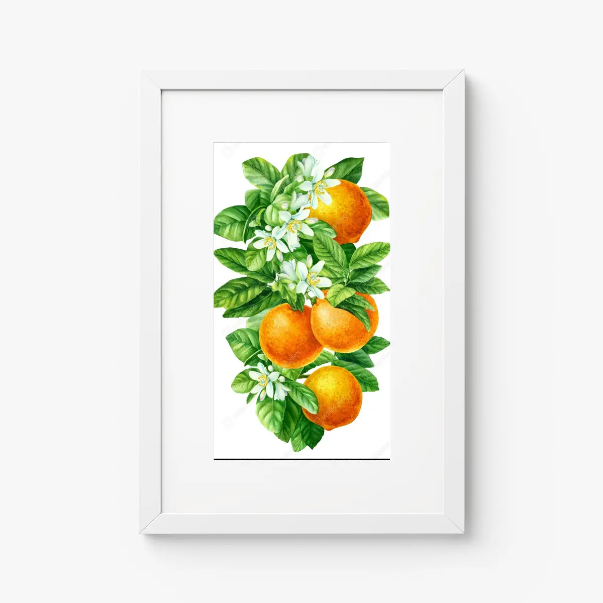Poster zitrusblüten und reife orangen – Pixers®