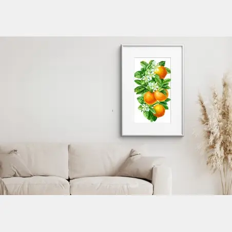 Poster zitrusblüten und reife orangen – Pixers®