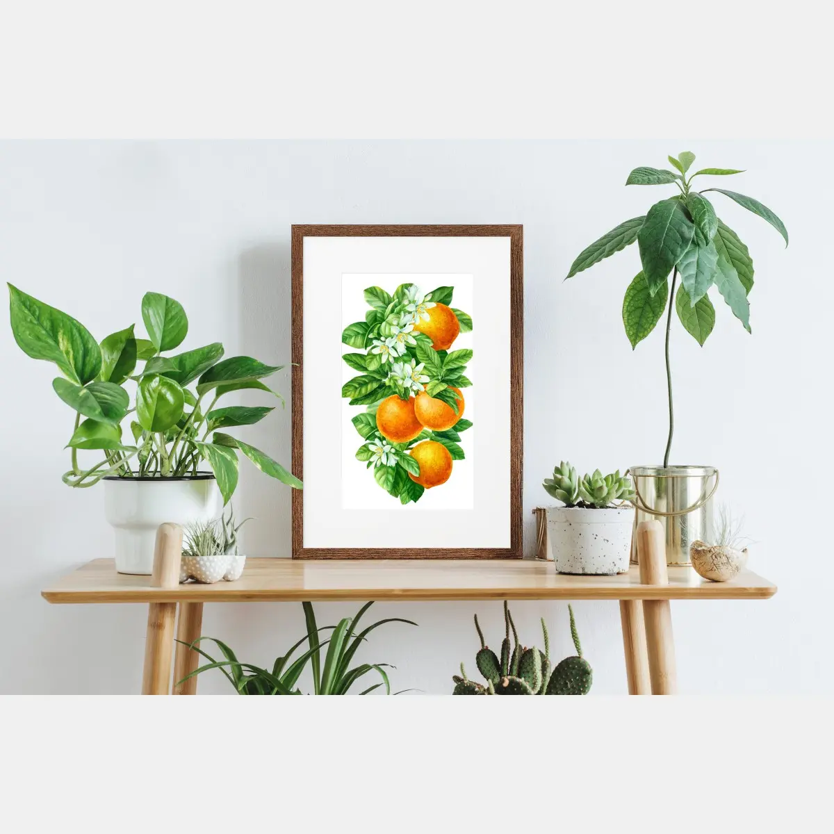 Poster zitrusblüten und reife orangen – Pixers®