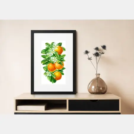 Poster zitrusblüten und reife orangen – Pixers®