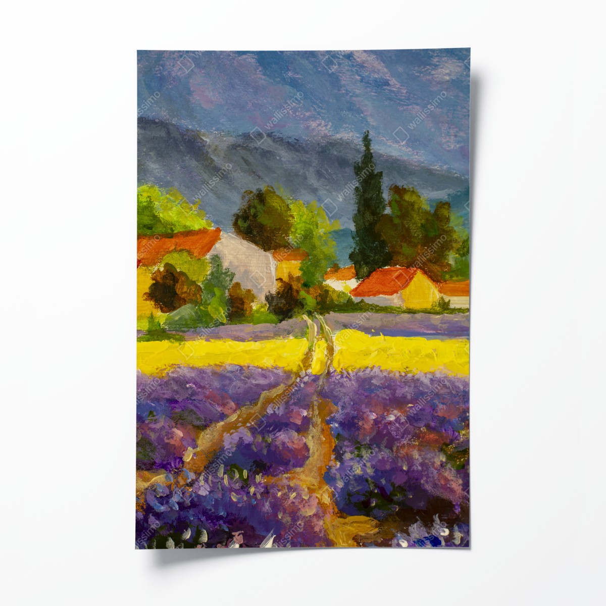 Poster lavendelfelder bei sonnenuntergang – Pixers®