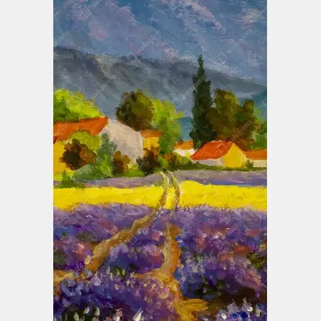 Poster lavendelfelder bei sonnenuntergang – Pixers®